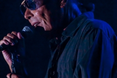 Antonello Venditti live @ Villa Bertelli (Forte dei Marmi, 12 Agosto 2016)