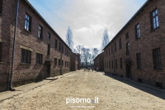 Auschwitz 07