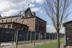 Auschwitz 29