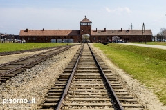 Campo di sterminio di Auschwitz Birkenau