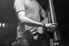 Bandabardò live @ Effetto Venezia 29/7/2017