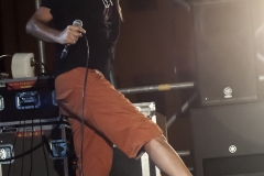 Bandabardò live @ Effetto Venezia 29/7/2017