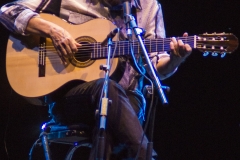 Caetano Veloso & Gilberto Gil live @ Villa Arconati (Castellazzo di Bollate, July 11th 2015)