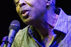 Caetano Veloso & Gilberto Gil live @ Villa Arconati (Castellazzo di Bollate, July 11th 2015)