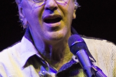 Caetano Veloso & Gilberto Gil live @ Villa Arconati (Castellazzo di Bollate, July 11th 2015)