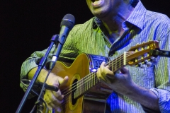 Caetano Veloso & Gilberto Gil live @ Villa Arconati (Castellazzo di Bollate, July 11th 2015)
