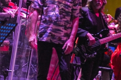 Francesco De Gregori live @ MusArt Festival (Firenze, 16 Luglio 2019)