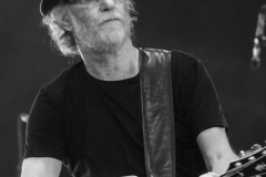 Francesco De Gregori live @ Villa Bertelli (Forte dei Marmi, 19 Agosto 2015)