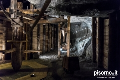 Miniera di sale di Wieliczka