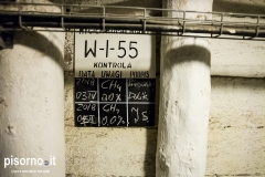 Miniera di sale di Wieliczka