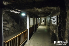 Miniera di sale di Wieliczka