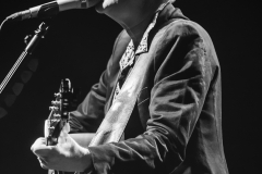 Ron @ Teatro Puccini, Firenze, 10 Aprile 2017