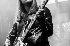 The Lemon Twigs @ Ferrara Sotto Le Stelle, 28/6/2017