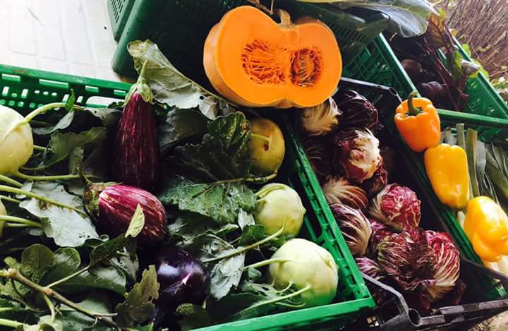 fb_img_1477405456876