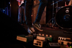 Gazebo Penguins live @ Caracol Pisa
