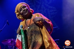 Sahra Halgan live @ Druga Godba