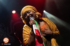 Sahra Halgan live @ Druga Godba