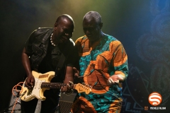 Songhoy Blues live @ Druga Godba