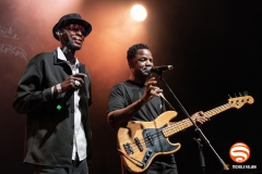 Songhoy Blues live @ Druga Godba