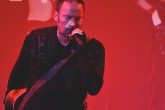 Tenedle live in Firenze 