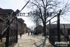 Auschwitz 01