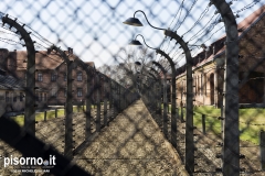 Auschwitz 03