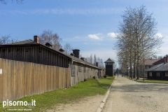 Auschwitz 04