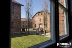 Auschwitz 09