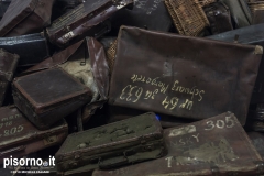 Auschwitz 16
