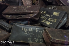 Auschwitz 17