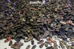 Auschwitz 19
