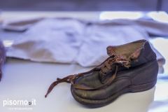 Auschwitz 21