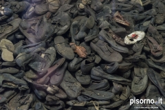 Auschwitz 23