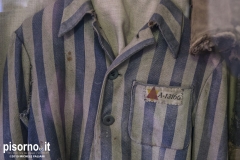 Auschwitz 25