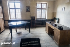 Auschwitz 31