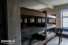 Auschwitz 32