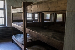 Auschwitz 33