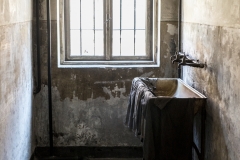 Auschwitz 35