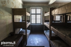 Auschwitz 36