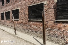 Auschwitz 37