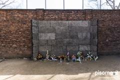 Auschwitz 38