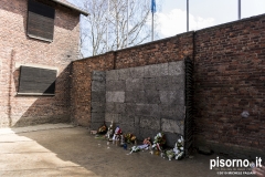 Auschwitz 39
