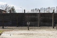 Auschwitz 40