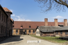 Auschwitz 41
