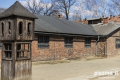Auschwitz 42