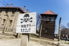Auschwitz 43