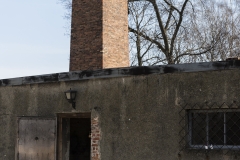 Auschwitz 46