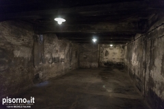 Auschwitz 47