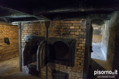 Auschwitz 49