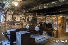 Campo di concertamento di Auschwitz
